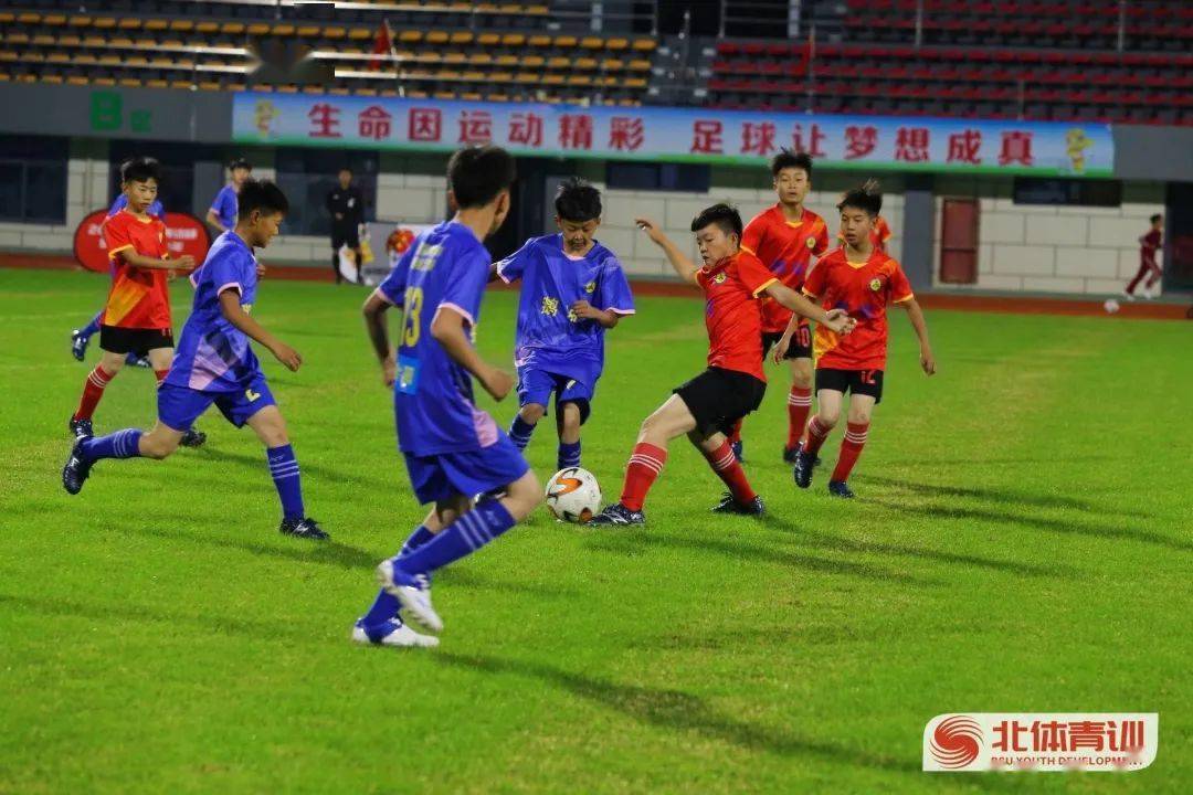 包含九游体育:中国足球青训教练员培训体系构建：课程设置、考核标准与认证流程的词条