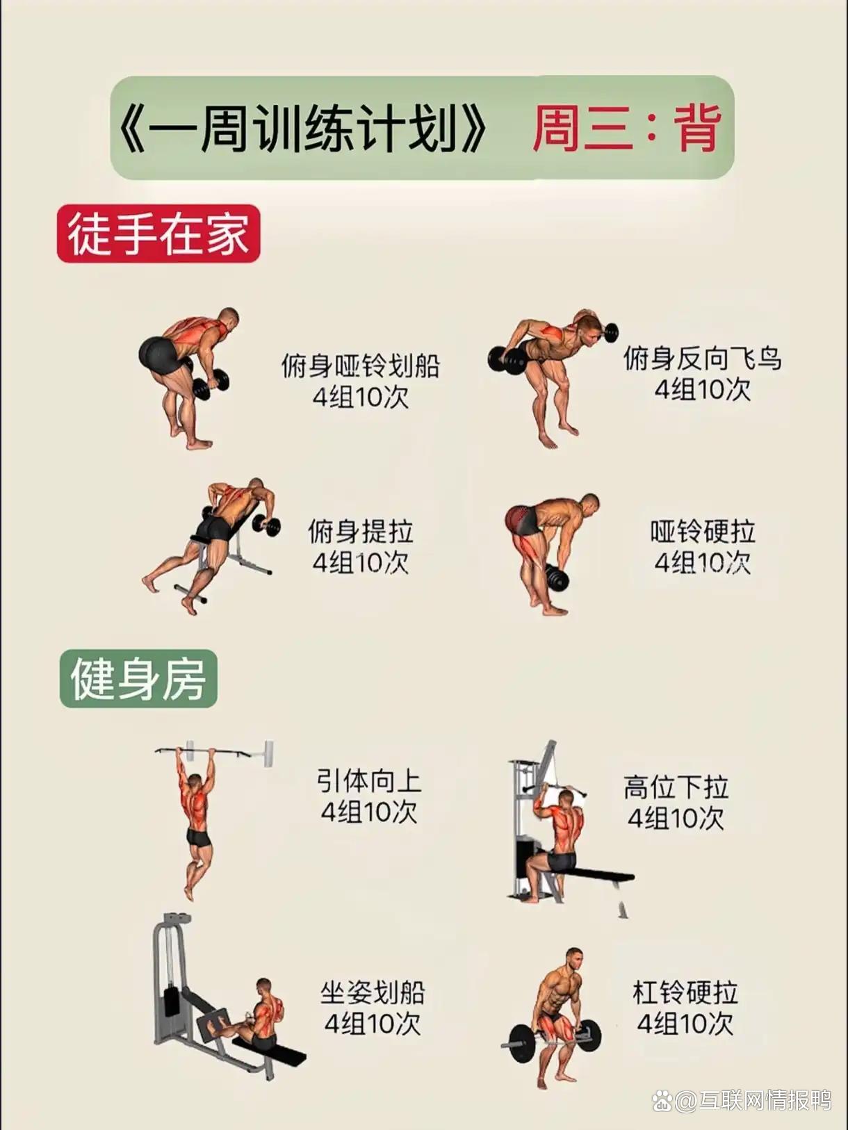 九游体育：至关重要的身体基础：运动员训练中的科学指导的简单介绍