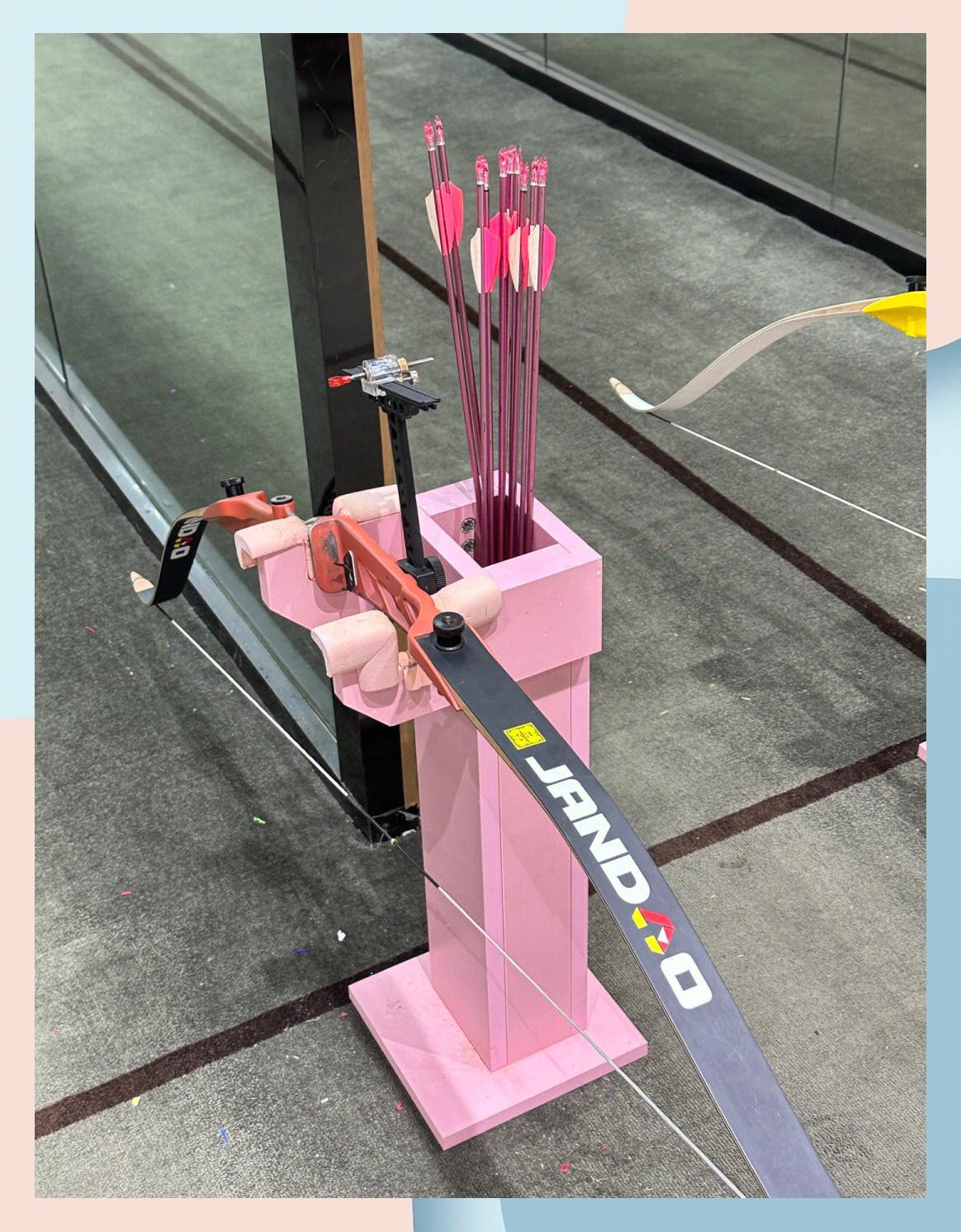 关于九游体育:射箭运动的技巧与策略，世界冠军的秘密的信息